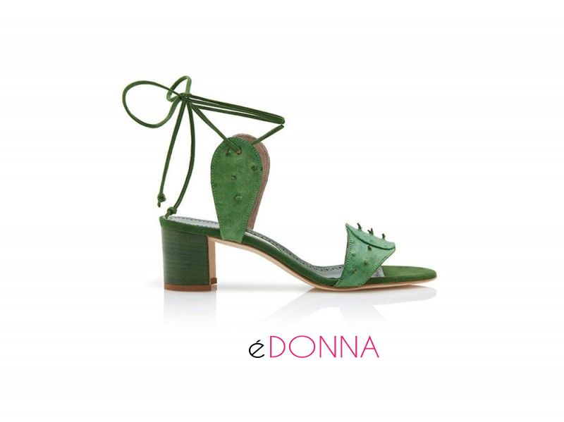 moda-cactus-01